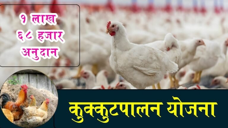 Maharashtra Kukut Palan Yojana 2023